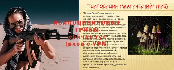 метадон Михайлов
